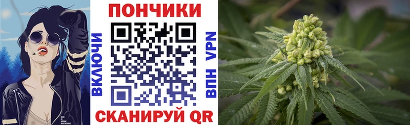 Марихуана гибрид Новоржев